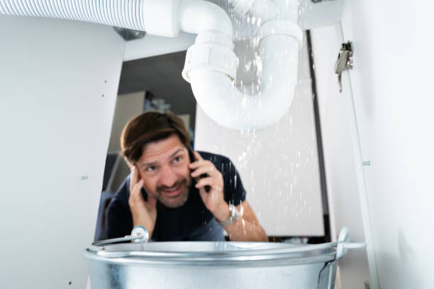 Best Emergency Plumber  in Pharr, TX